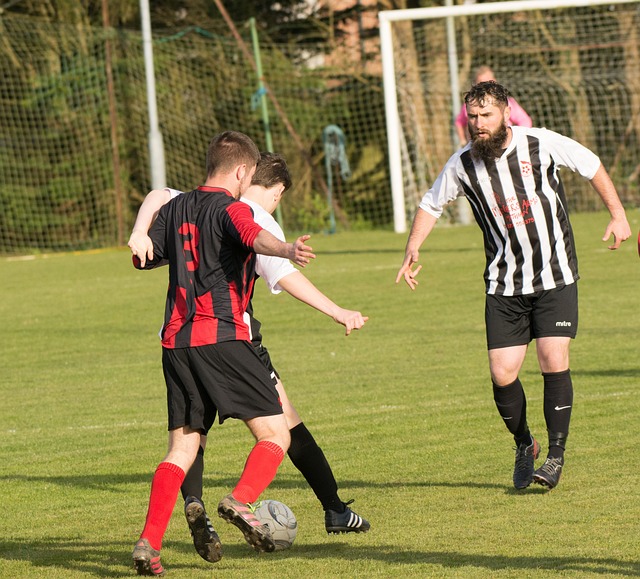 多样化的准 多样化的准