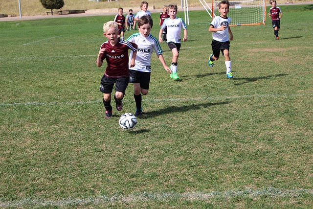 其核心作用 其核心作用