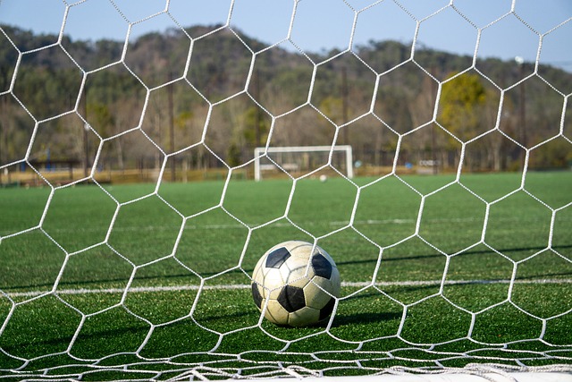 是技術高超 是技術高超