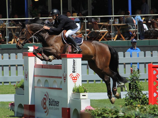 仅分析了过 仅分析了过