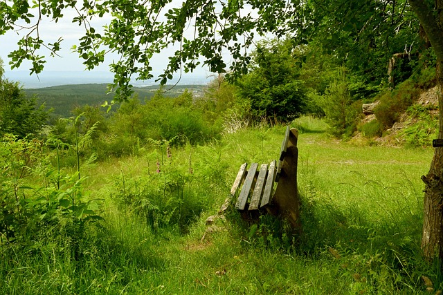 皇马在连续 皇马在连续