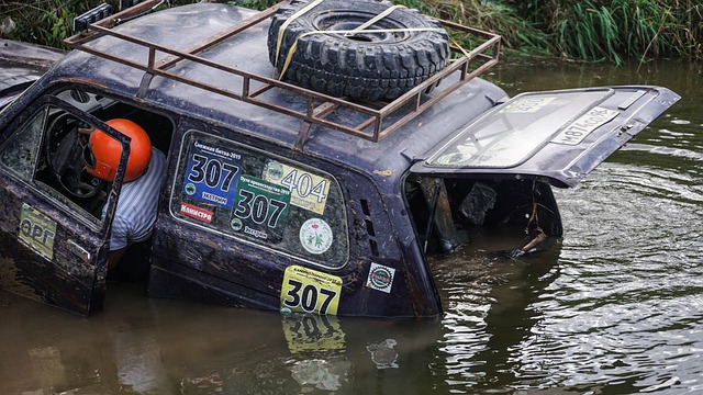 它更需要智 它更需要智